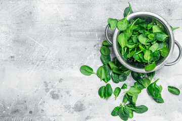 Spinach leaves in a saucepan.