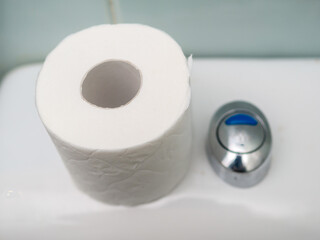 Toilet paper roll on a WC cistern