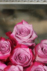 pink roses bouquet