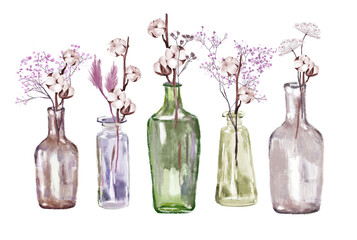 Cotton flowers, dried flowers in vase, glass bottles. Png illustration, transparent background.