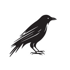Crow minimal black and white vector illustration icon. Black bird with feathers and dark beak. Minimalistic tattoo idea. Modern company logo. Silhouette of raven. Isolated mascot idea. Vector element