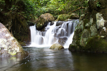 Fototapeta premium an iconic waterfall deep in the daintree national park. QLD Australia. Tourism travel photo