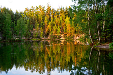 las, drzewa nad jeziorem, odbicie w wodzie, forest, trees by the lake, reflection in the water - obrazy, fototapety, plakaty