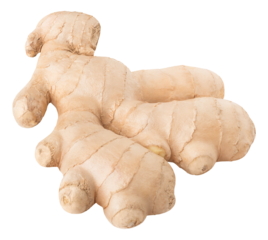 One ginger root cut out