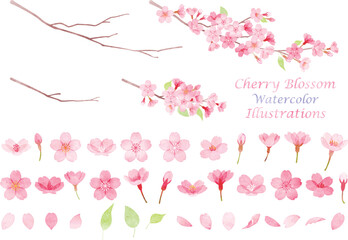手描き水彩風　桜のイラスト素材セット