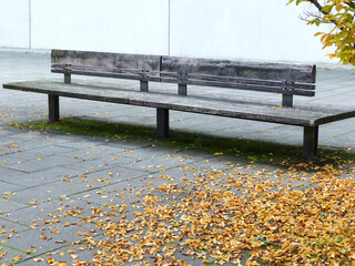 A bench and many autumnal leaves on the ground.