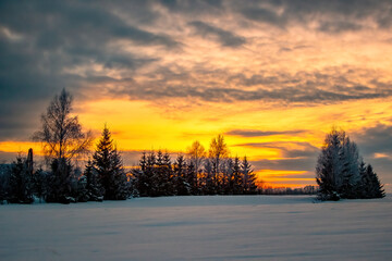 Fototapeta na wymiar Winter sunset in December. Fields, single trees, yellow and orange sky.