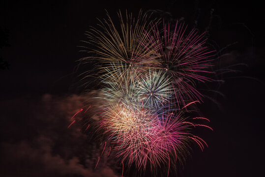 Fireworks colours explode in dark night sky