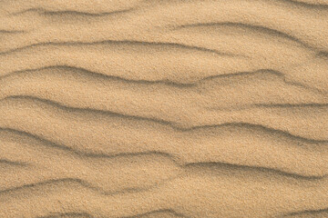 Sand background with dunes. Sand desert texture. Natural sand on the sea beach.