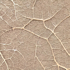 Leaf vein texture in a horizontal, natural chlorophyll pattern..