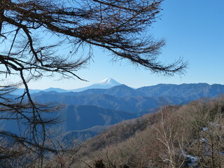 富士山