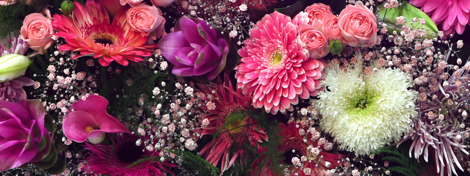 Flowers wall background with amazing mixed gerbera's  or daisy's flower banner backgrounds. 
Various color gerbera flower background wall.
urban jungle wall.
Valentine or Mother's day backgrounds.