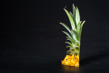 Ripe mini baby pineapple over dark background