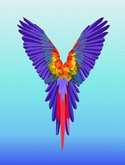 red macaw vector illustration, amazon Brazil, tropical country