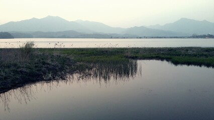 the serene appearance of the River
