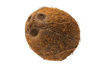 one ripe fresh coconut over white background