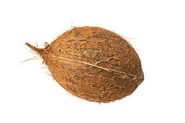 one ripe fresh coconut over white background