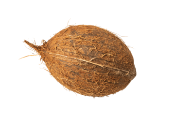 one ripe fresh coconut over white background