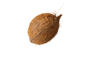 one ripe fresh coconut over white background