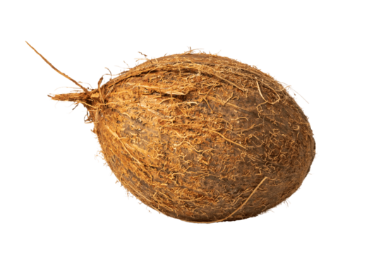 one ripe fresh coconut over white background