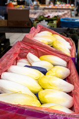 endives sur le marché