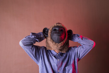 Photo of man with both hands holding head wearing black monkey mask isolated on brown background