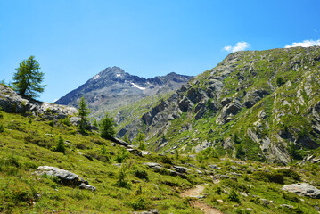 Fototapeta na wymiar Gran Paradiso National Park. Valle di Bardoney, Aosta Valley, Italy. Beautiful mountain landscape in sunny day.