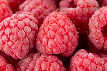 Fresh and sweet raspberries background