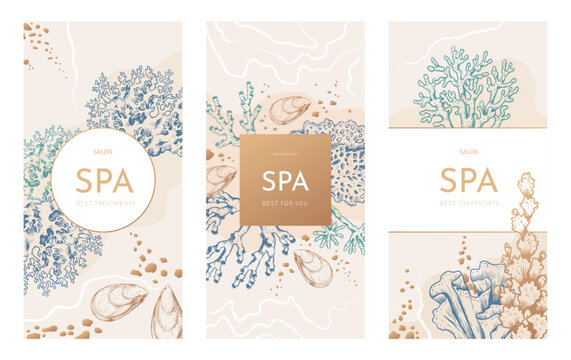 Coral sea shell spa vouchers. Beauty and organic seafood gift, luxury gold flyer for birthday diving. Invitation cards, vertical banners. Colorful sketch objects. Vector design template