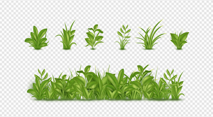 3D Easter grass. Vegetation plants. Green spring field. Border with nature leaves. Fresh life garden. Meadow botany. Herbs bunch. Botanical elements set. Vector realistic illustrations