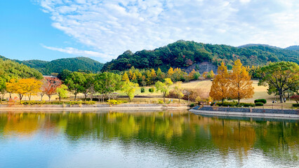北九州市の県営筑豊緑地公園