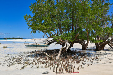 The beautiful island of Nosy Iranja Madagascar 