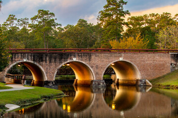 bridge in the park over water
