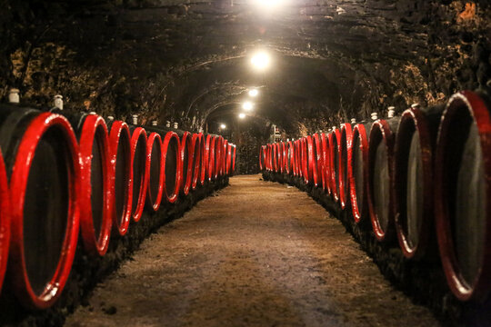 Traditional cellar near Tokaj