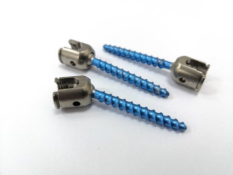Thoracic Lumbar Vertebra Pedicle Screw in White Background