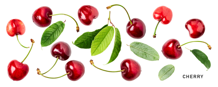 Fresh red cherry fruits and leaves. PNG with transparent background. Flat lay. Without shadow.