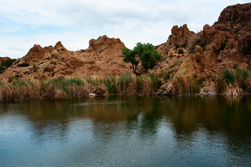 Fototapeta na wymiar Arizona Desert Pond