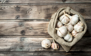 Fresh garlic in the sack.