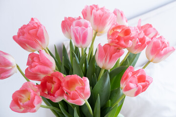 Bouquet of pink tulips close up