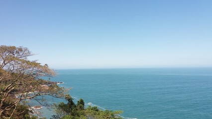 Obraz premium Mar com moldura das árvores