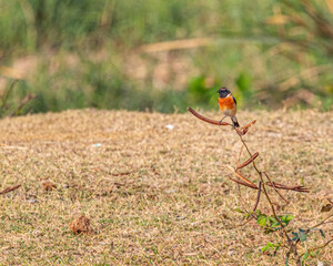 A stone chat sitting