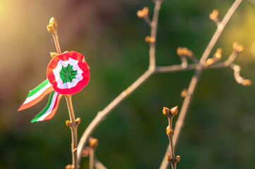Hungarian spirit on national holiday 15th march with rosette pin and sunlight - obrazy, fototapety, plakaty