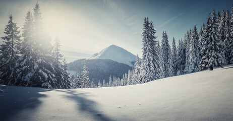 Fantastic winter sunset in the mountain. Panoramic view of the picturesque snowy winter landscape. Snow covered fir trees on the background of mountain peak. Christmas holiday concept