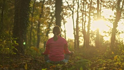 This stock video showing a beautiful young woman doing yoga in the forest