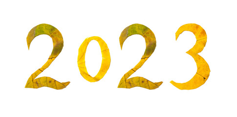 2023 numbers carved from yellow maple leaves