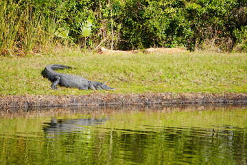 Florida State University Campus building	