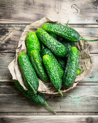 Green cucumbers in the basket.