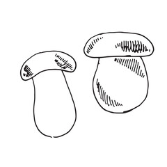 Continuous one line of edible mushroom in silhouette. Minimal style. Perfect for cards, party invitations, posters, stickers, clothing.