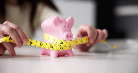 Tight Savings Piggy Bank Measurement