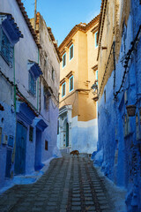 Morocco. Chefchaouen. A dog walking in a blue street of the medina